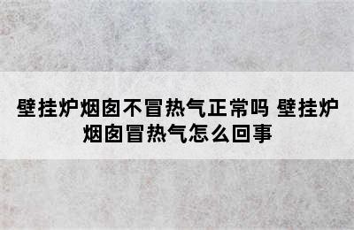 壁挂炉烟囱不冒热气正常吗 壁挂炉烟囱冒热气怎么回事